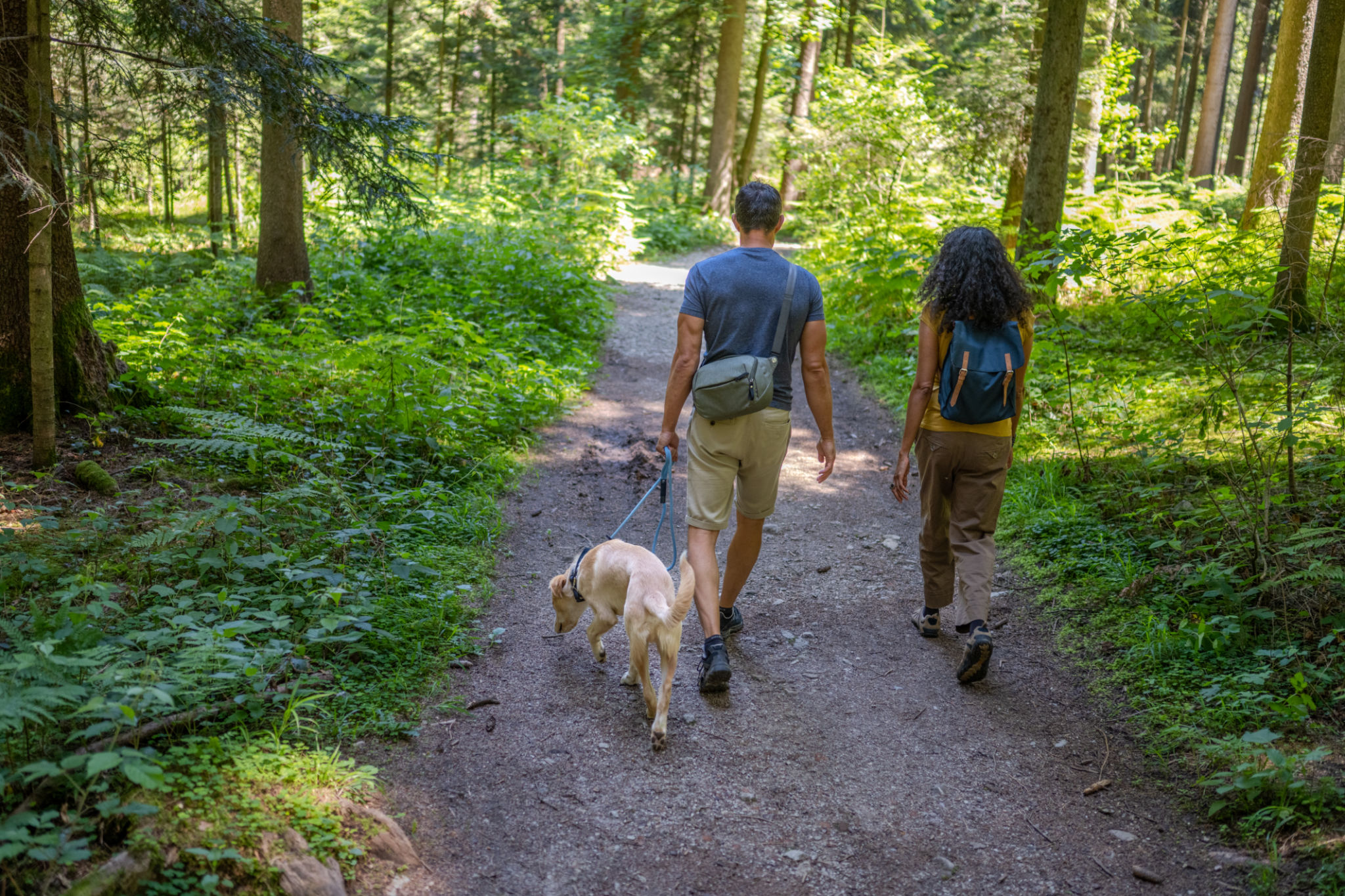 dog hiking trail