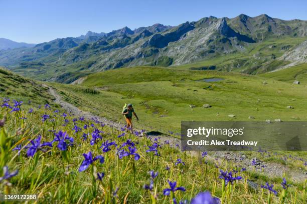 hiking on the gr10 - occitanie stock-fotos und bilder