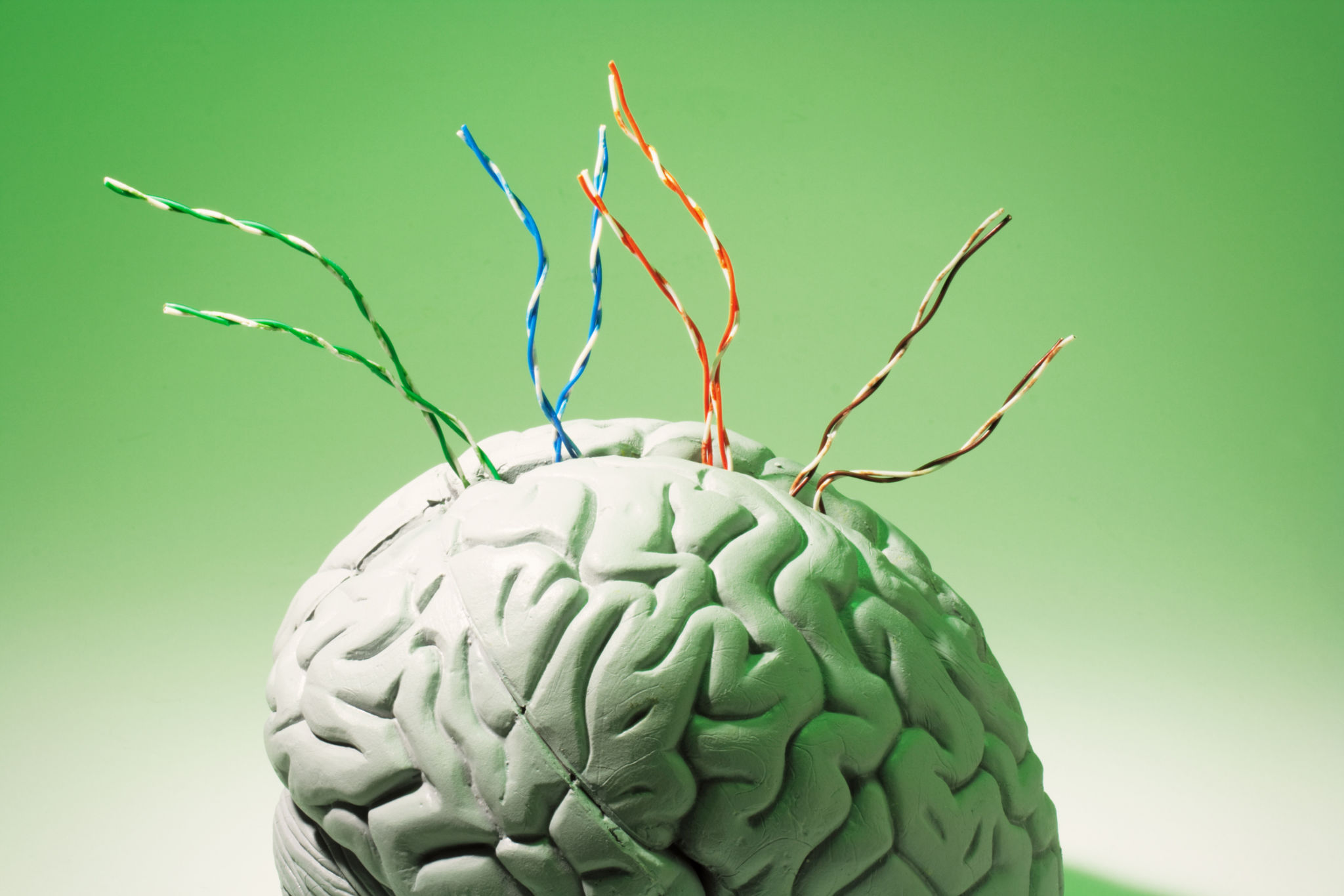 Wires on Brain Specimen Wires on Brain Specimen