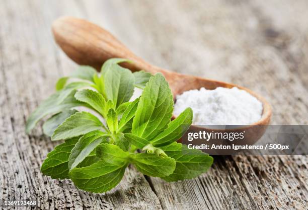 stevia plant with powder,close-up of herb on table - stevia stock pictures, royalty-free photos & images