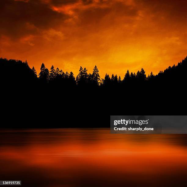 forest fire - treetop stock pictures, royalty-free photos & images