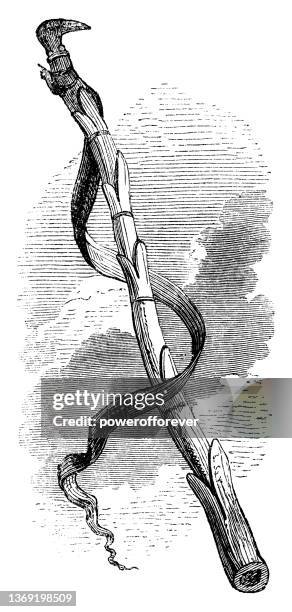 lituus augur’s wand - 5th century bc - wand stock illustrations