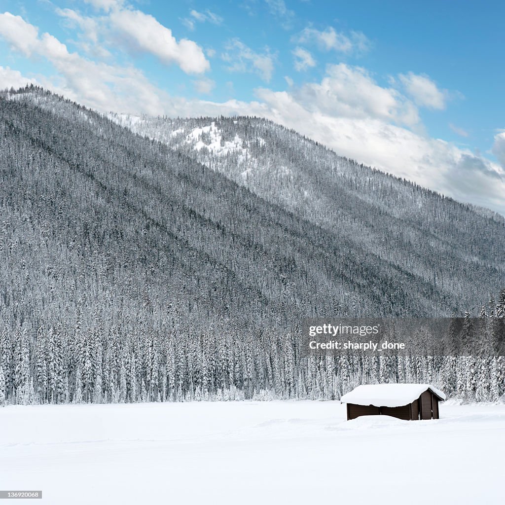 XL winter wilderness cabin