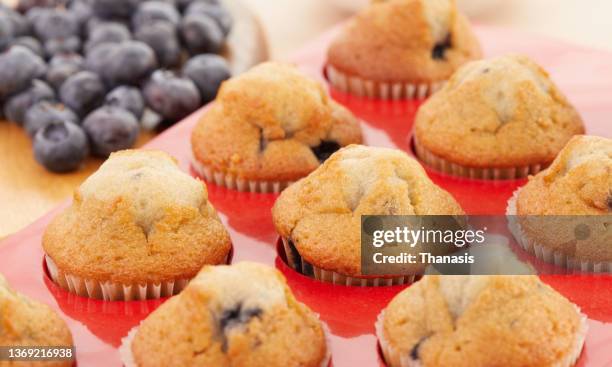 blueberry muffins in a muffin tin - blueberry banana muffin stock pictures, royalty-free photos & images