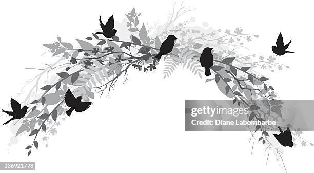 sparrows with branches & cherry blossoms - cherry tree stock illustrations