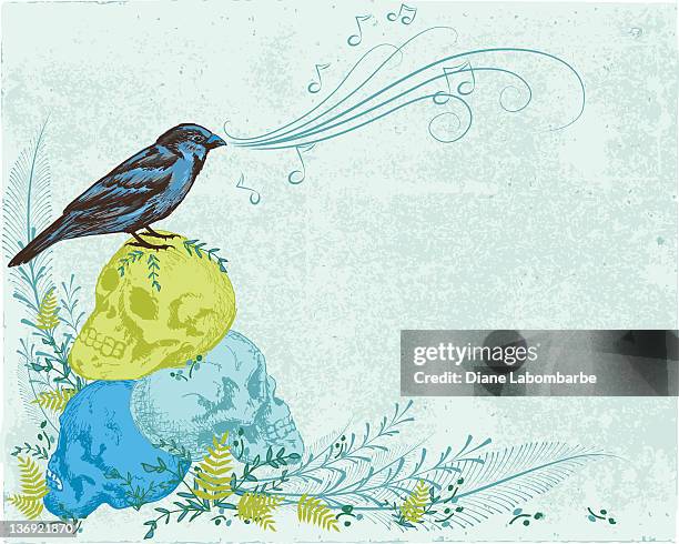 sketchy style skulls & sparrow - royalty free stock illustrations