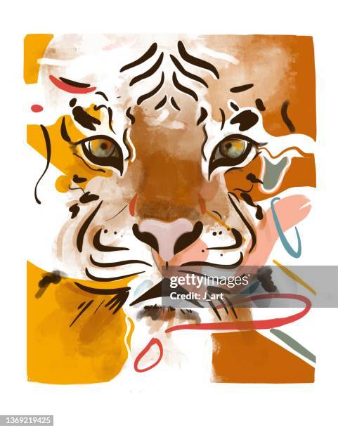 year of the tiger - bildnis bildbanksfoton och bilder
