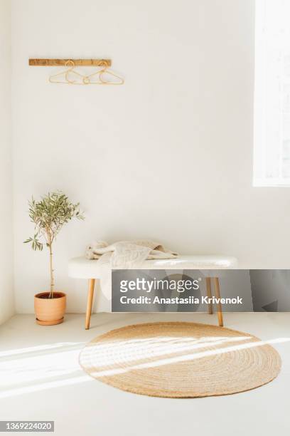 fluffy fur bench, wicker rug, wooden hanger and olive plant in ceramic vase. - olivo fotografías e imágenes de stock
