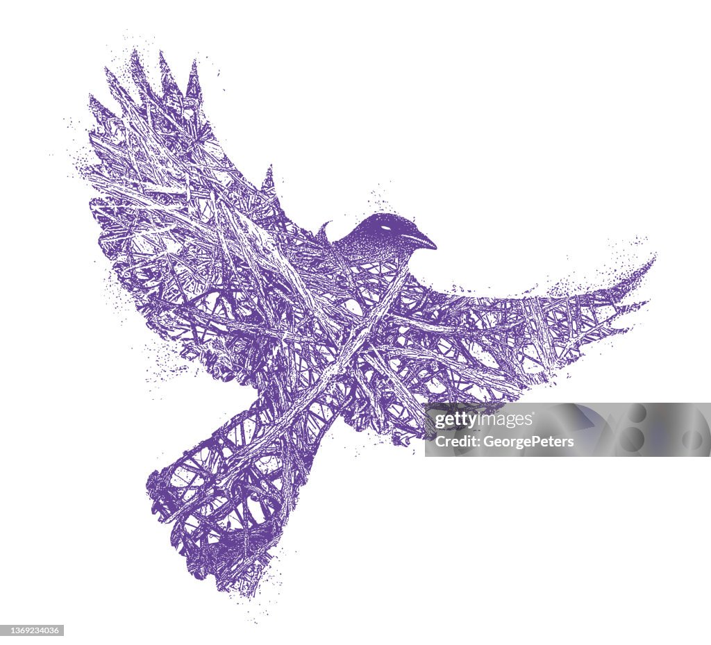 Gothic Raven