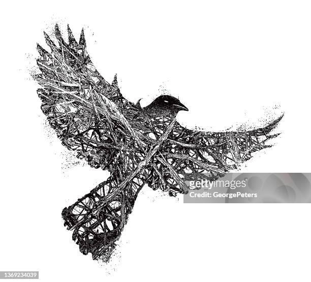 ilustraciones, imágenes clip art, dibujos animados e iconos de stock de cuervo gótico - gothic
