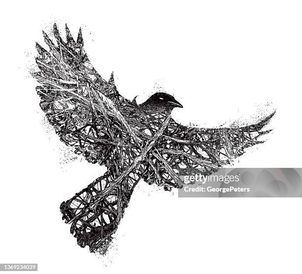 gothic raven - gothic style stock illustrations