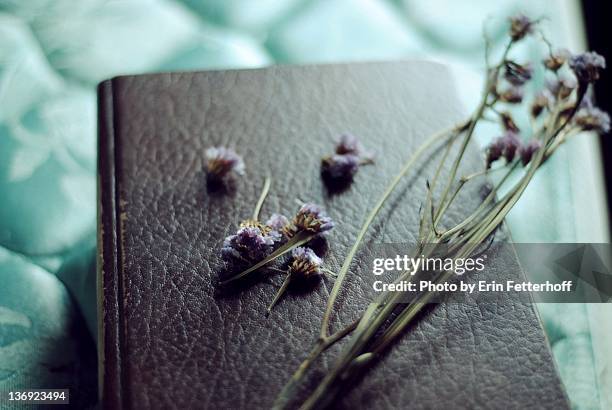 twig of flowerr on book - sängerin bildbanksfoton och bilder