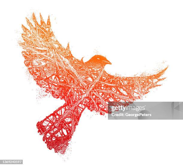 gothic raven - red feather texture stock illustrations