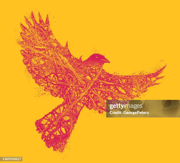 gothic raven - blackbird stock illustrations