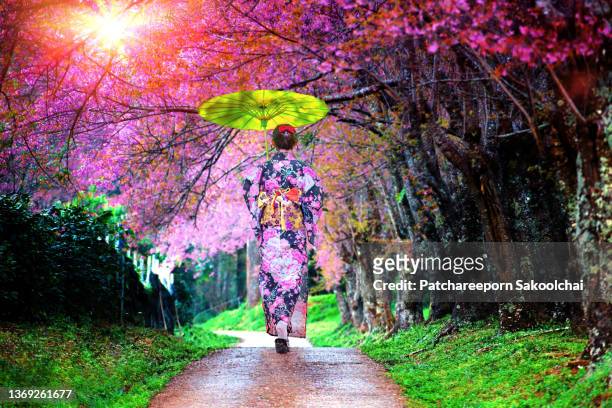 on the garden - sakura photos et images de collection