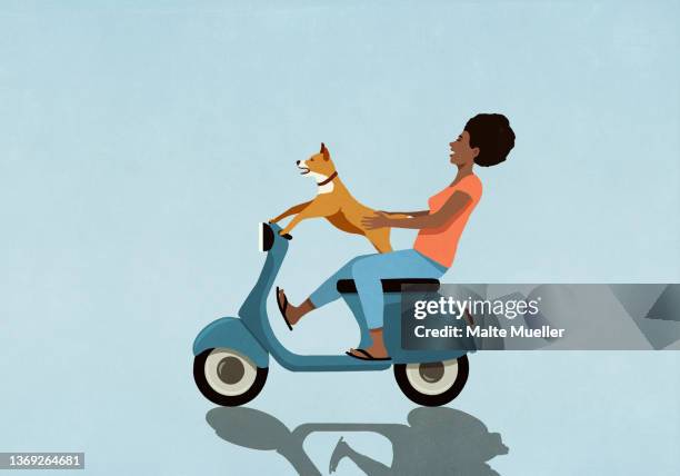 carefree woman with dog driving motor scooter - motor scooter stock illustrations