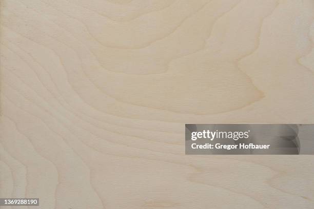 bright birch wood texture - wood photos et images de collection