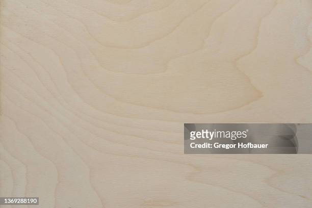 bright birch wood texture - wood material - fotografias e filmes do acervo