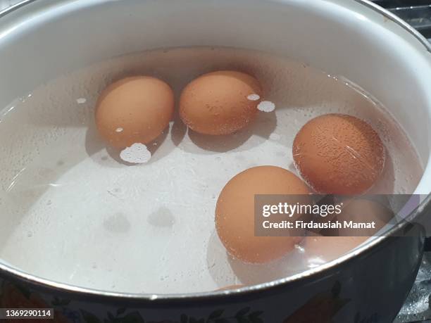 boiling eggs in a pot - kokat ägg bildbanksfoton och bilder