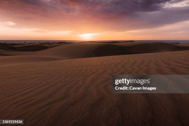 amazing sunrise in the dunes of maspalomas of gran canaria - maspalomas imagens e fotografias de stock