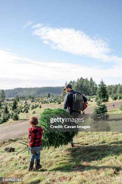 father and son walking with christmas tree - christmas tree farm stock pictures, royalty-free photos & images