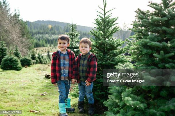 brothers standing in front of christmas tree - asian twins stockfoto's en -beelden