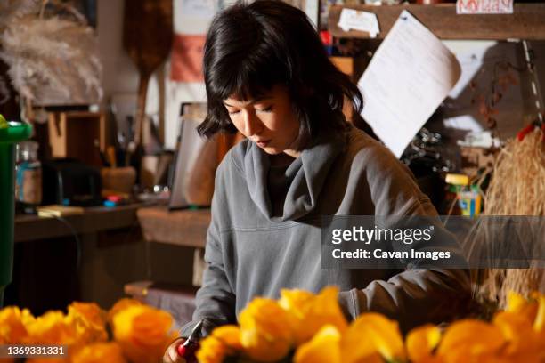 female florist working behind yellow roses in flower shop, nyc, - hurricane sally - fotografias e filmes do acervo