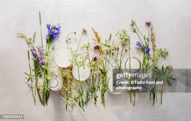 milk in glasses and bottles - milk plant stockfoto's en -beelden