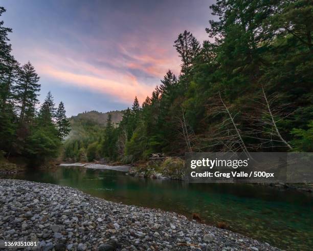 Elk Riser 35 Elk River (Oregon) Stock Photos, High-Res Pictures, and Images ...