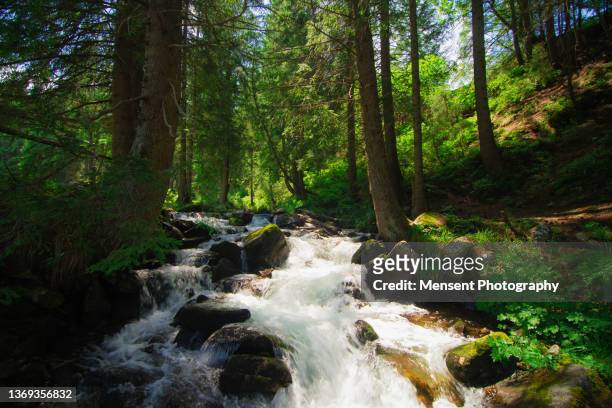 scenic view of waterfall in green forest in the summer - spring flowing water stock pictures, royalty-free photos & images
