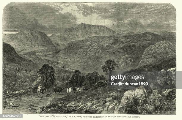 lledr valley a valley in snowdonia in north wales, victorian 19th century landscape - snowdonia stock illustrations