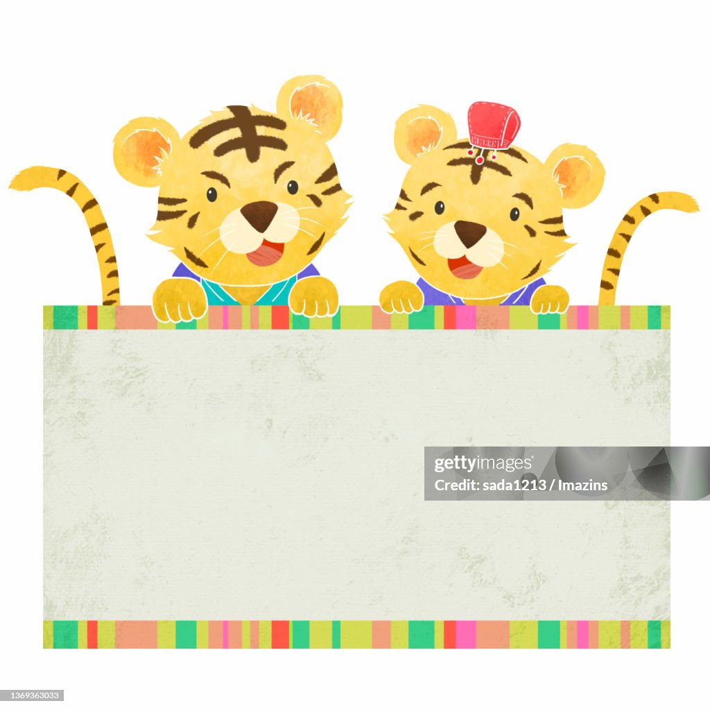 Tiger, Character Illustration