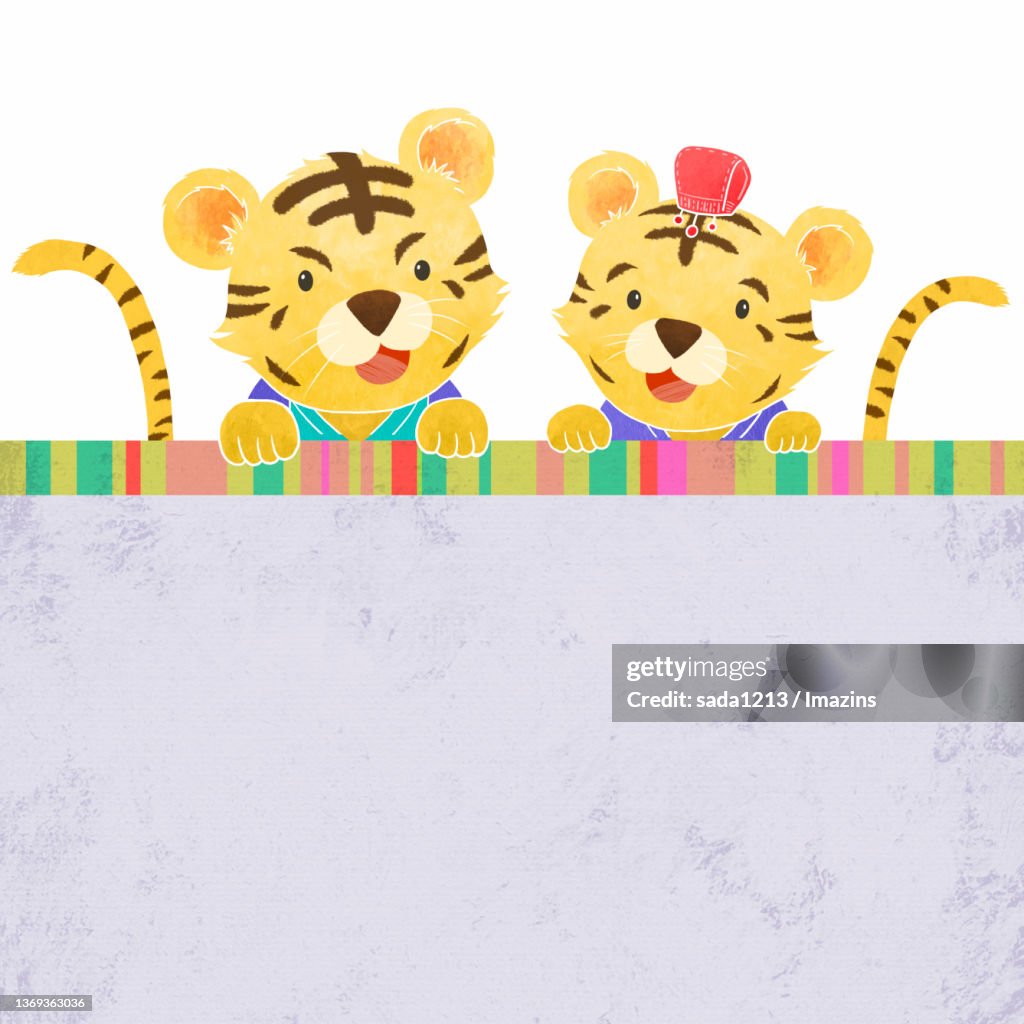 Tiger, Character Illustration