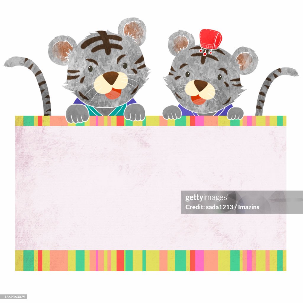 Black Tiger, Character Illustration