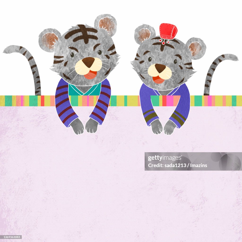 Black Tiger, Character Illustration