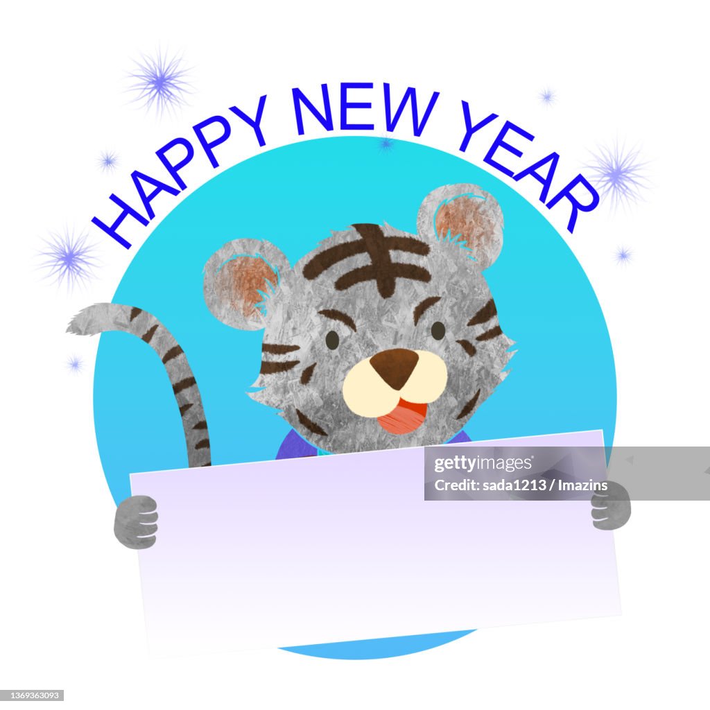 Black Tiger, Character Illustration