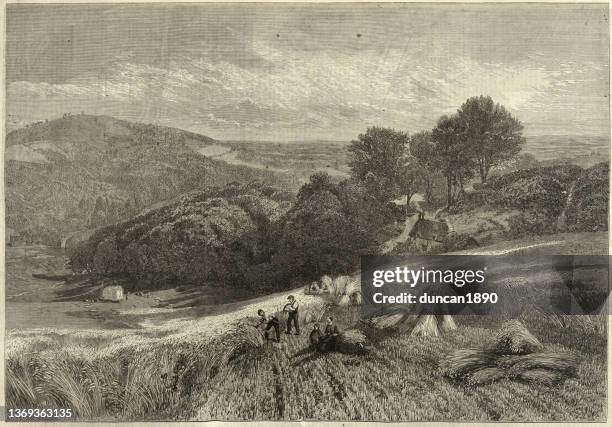 illustrations, cliparts, dessins animés et icônes de ouvriers agricoles récoltant une récolte dans un champ de maïs de surrey, agriculture victorienne, 19e siècle - gerbe de blé