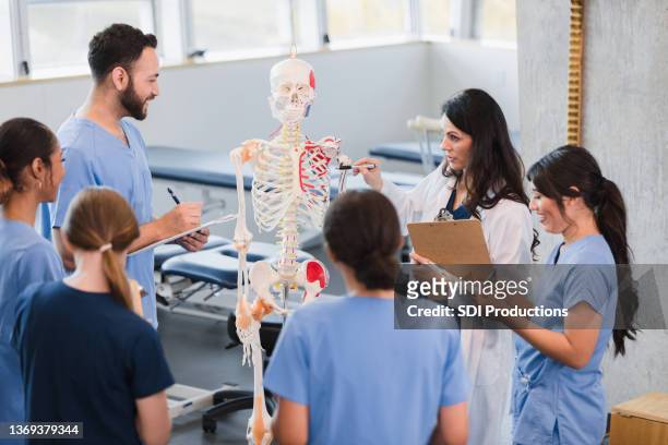 verschiedene studenten stehen um professoren herum und halten vorträge über das menschliche skelettsystem - physiology stock-fotos und bilder
