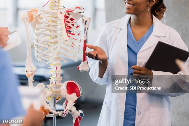 unrecognizable medical school professor stands by model of skeleton - fisiologia imagens e fotografias de stock