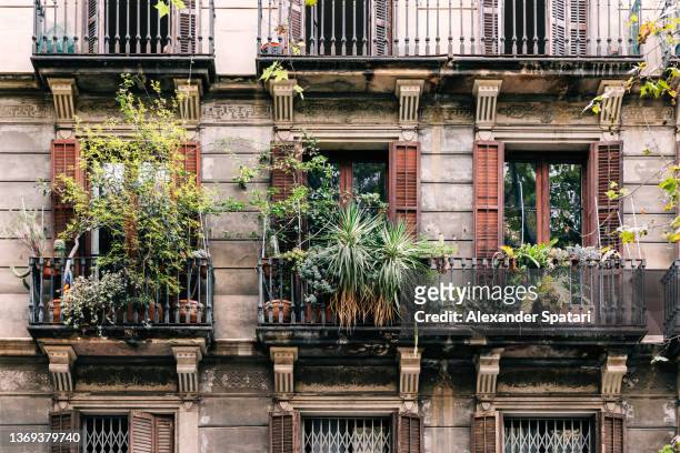balconies with flower plants in the pots in barcelona, spain - montjuic 個照片及圖片檔