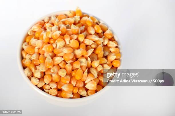 close-up of dried corn in clay pot,close-up of corn kernels in bowl against white background - corn kernel imagens e fotografias de stock