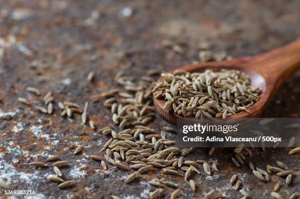 cumin seeds in wooden spoon on a textured background - cumin bildbanksfoton och bilder