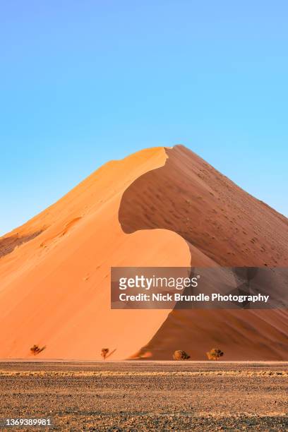 dune 45, sossusvlei, namibia. - dead vlei stockfoto's en -beelden