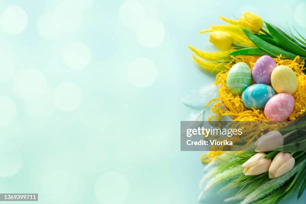 easter eggs and tulips with copy space - april stock pictures, royalty-free photos & images