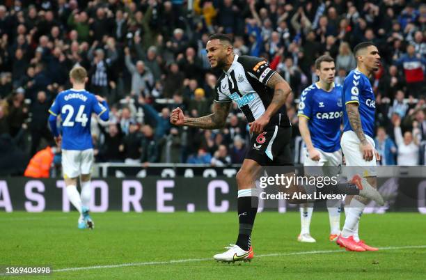 Jamaal Lascelles of Newcastle United celebrate their side's first goal, an own goal by Mason Holgate of Everton during the Premier League match...