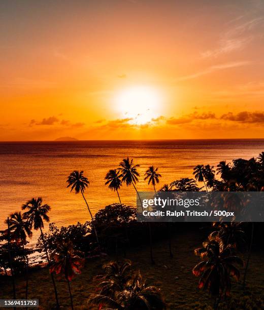 sunset in puerto rico,rincon,scenic view of sea against sky during sunset,puerto rico - puerto rico palm tree stock pictures, royalty-free photos & images