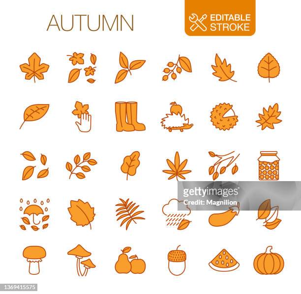 autumn icons set. editable stroke - live oak stock illustrations