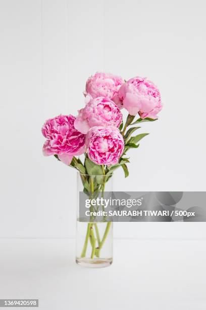 pink roses in clear glass vase,australia - bouquet de fleurs photos et images de collection