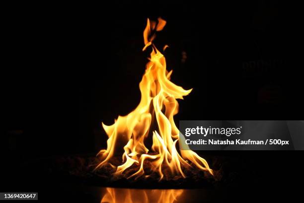 fire,close-up of bonfire against black background - flamme stock-fotos und bilder