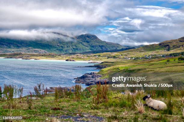 the view,scenic view of lake by mountains against sky,clifden,ireland - connemara stock-fotos und bilder